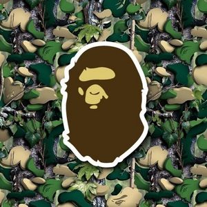 Meet your Posher, Ethan